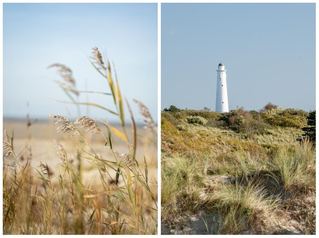 Vrijstaande woning te koop: Middenstreek 7, Schiermonnikoog