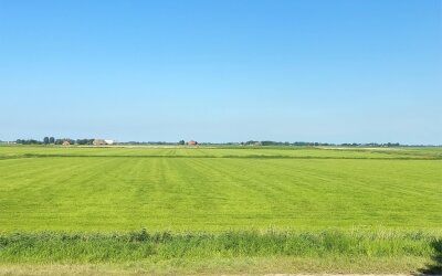 Hogedijk 8