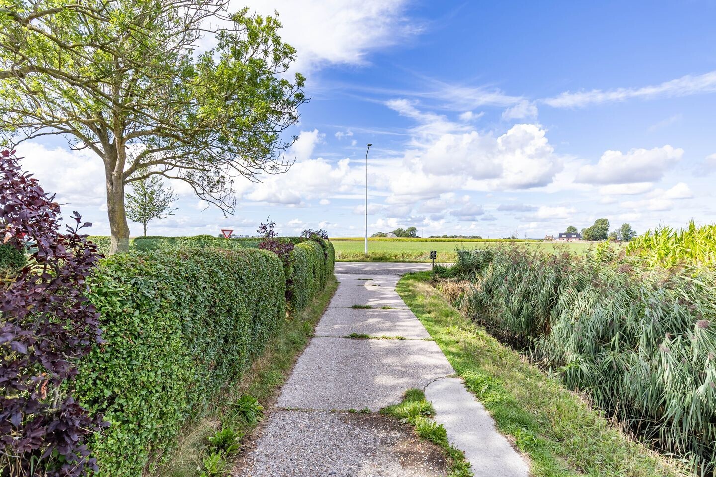 Vrijstaande woning te koop: Boatebuorren 3, Blije