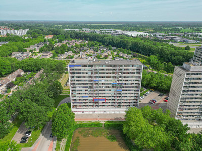 Tjaarda 30
