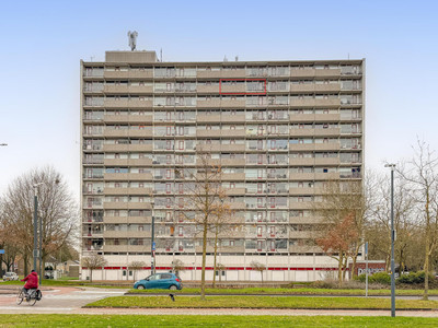 Tjaarda 140