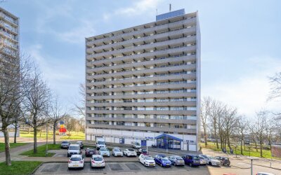 Tjaarda 240