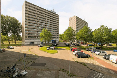 Tjaarda 266
