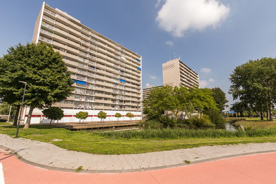 Tjaarda 278