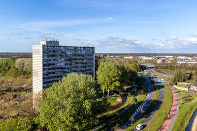 Tjaarda 282