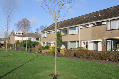De Jerden 3