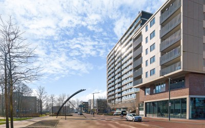 De Marke 216