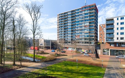 De Marke 216