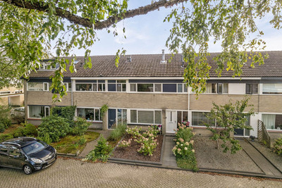 Zwemmer 79