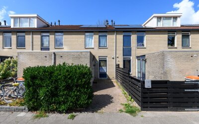 Hanebalken 294