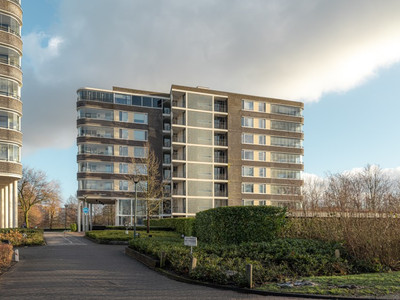 Nijtap 65