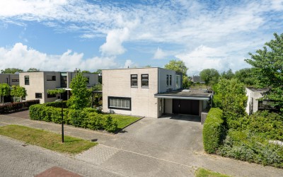 Broekfinne 38