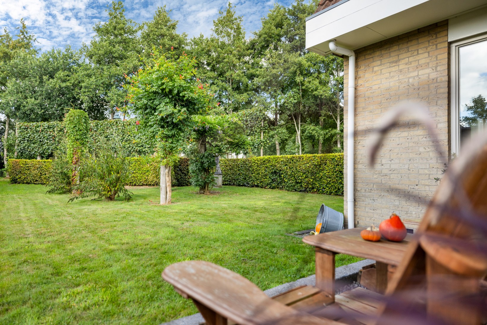 Vrijstaande woning te koop: Hoptunen 15, De Wilgen