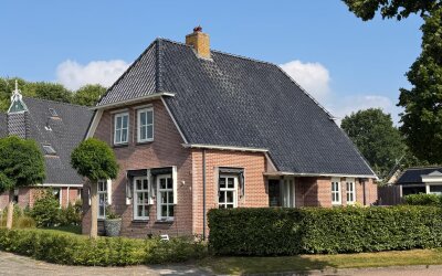 Pijlkruid 3
