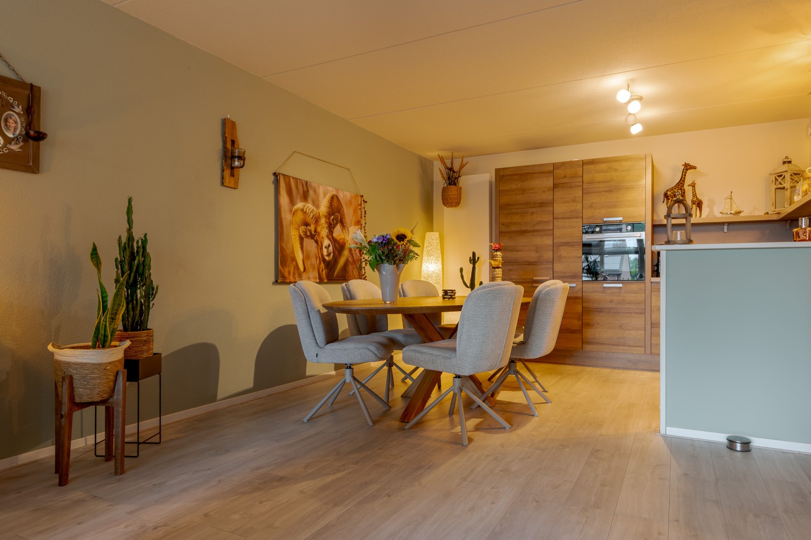 Appartement te koop: Ceintuurbaan Noord 5H, Roden
