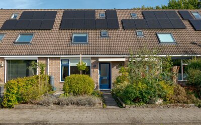 Pinksterbloem 30