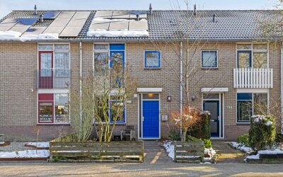 Pinksterbloem 106