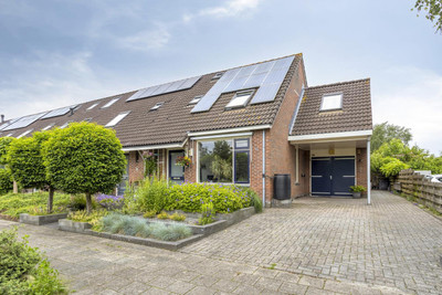 Koekoeksbloem 24