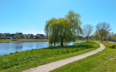 Vogelwikke 28