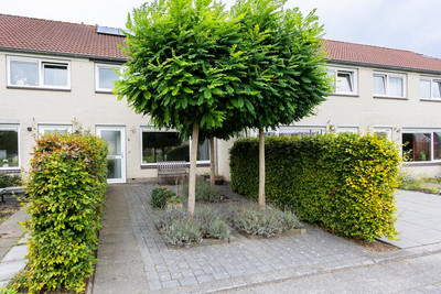 Middelven 6