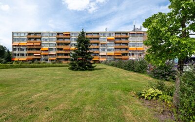 Meent 94