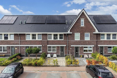 Sleutelbloem 102