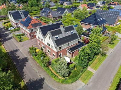 Zwarte Els 12