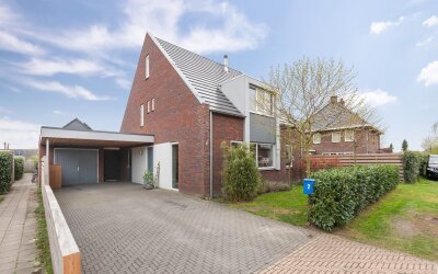 Boterbloem 2