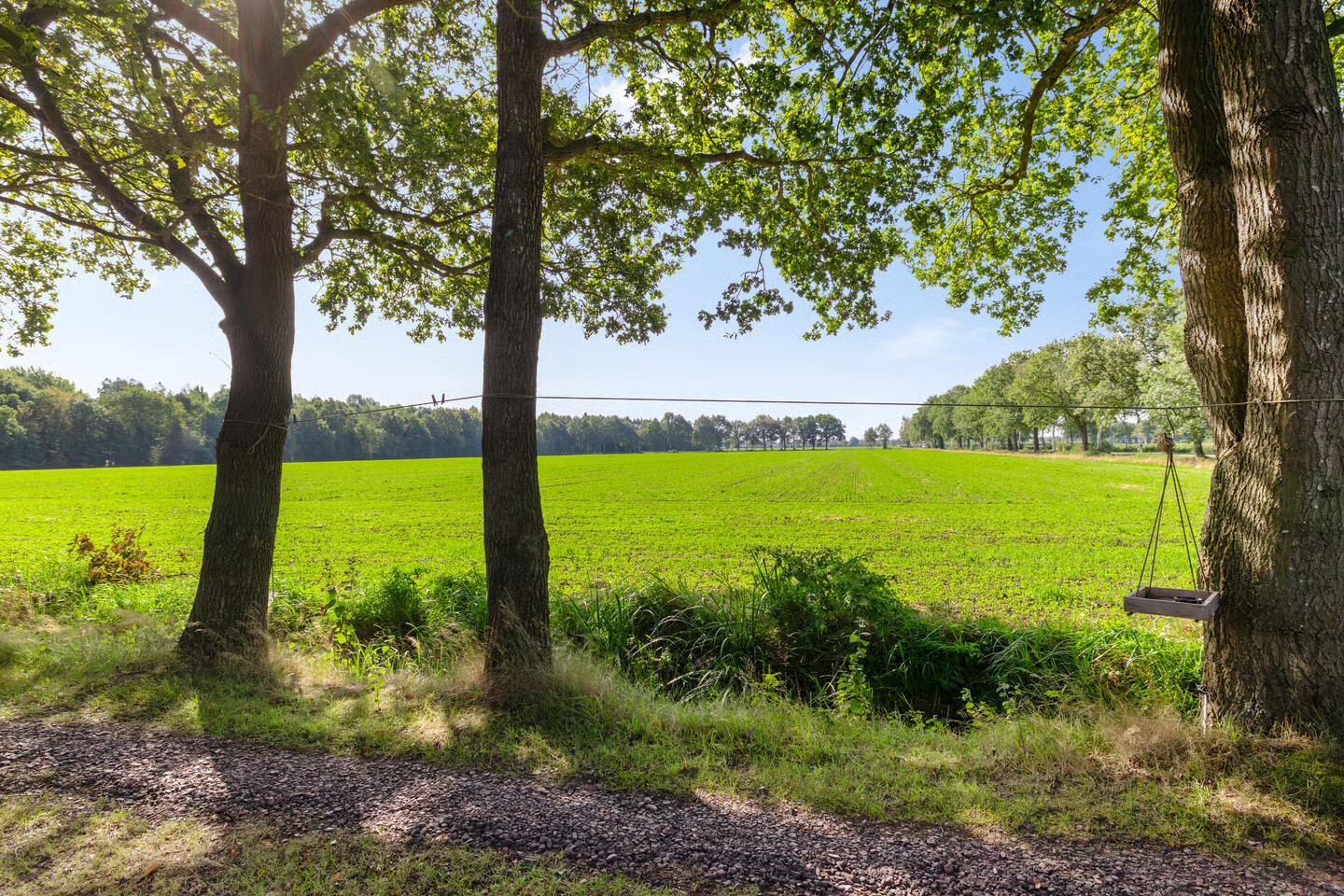Vrijstaande woning te koop: Commissiebos 6, Zevenhuizen