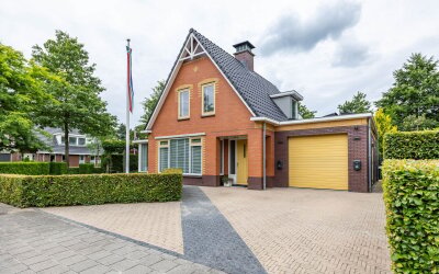 De Koppel Paarden 2