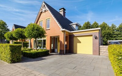 De Koppel Paarden 4