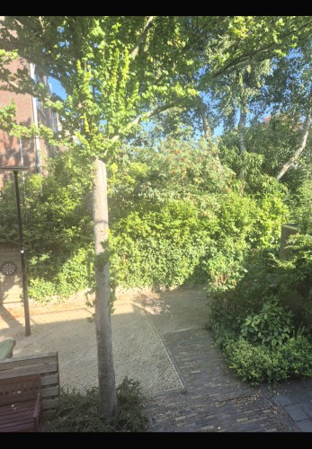 Doevenkamp 50