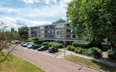 Molenstraat 249