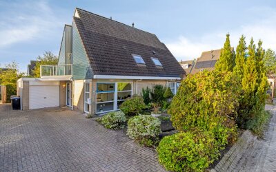 Zandhamel 8