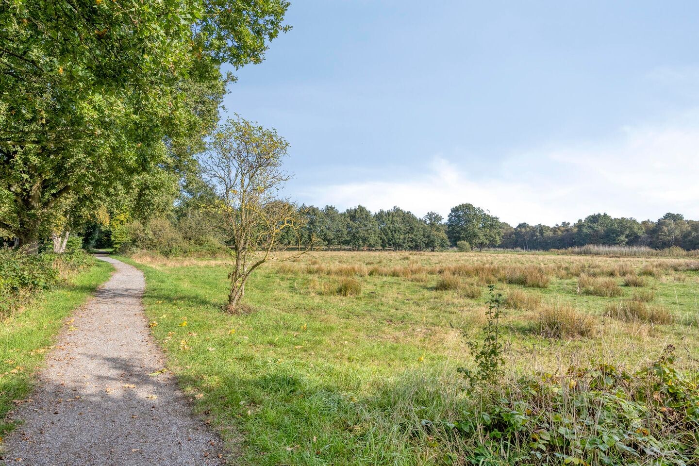 Twee-onder-één-kap te koop: Zandhamel 8, Assen