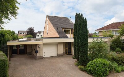 Sternmesschen 12
