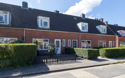 Hortensiast. 20