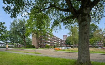 van der Scheerstraat 1