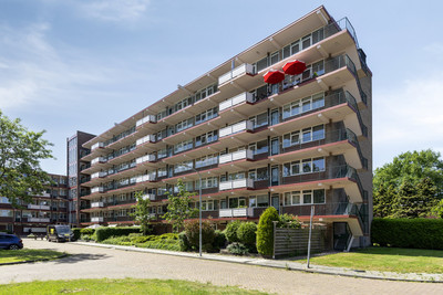 van der Scheerstraat 33