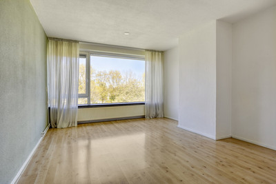 van der Scheerstraat 117