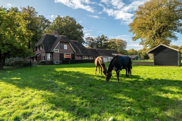 Vrijstaande woning te koop: Beilerweg 22, Hooghalen