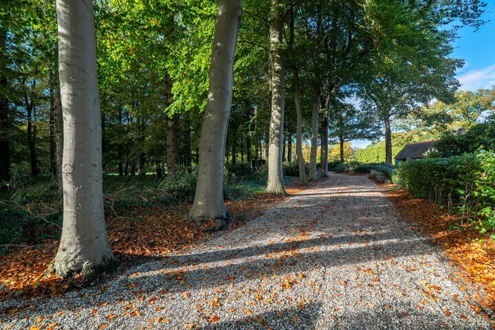 Vrijstaande woning te koop: Beilerweg 22, Hooghalen