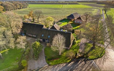 De Brink 10