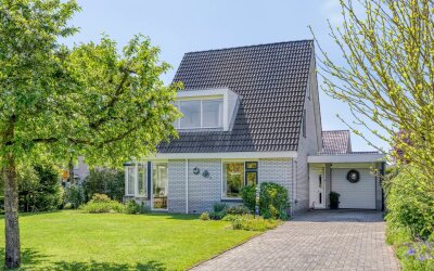 Korenbloem 1