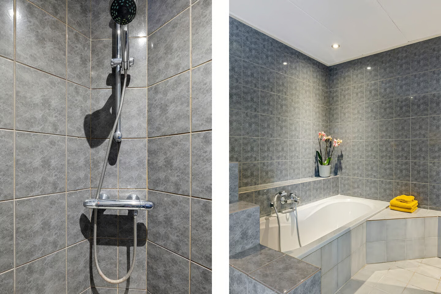 Vrijstaande woning te koop: Borgweg 24, Schipborg