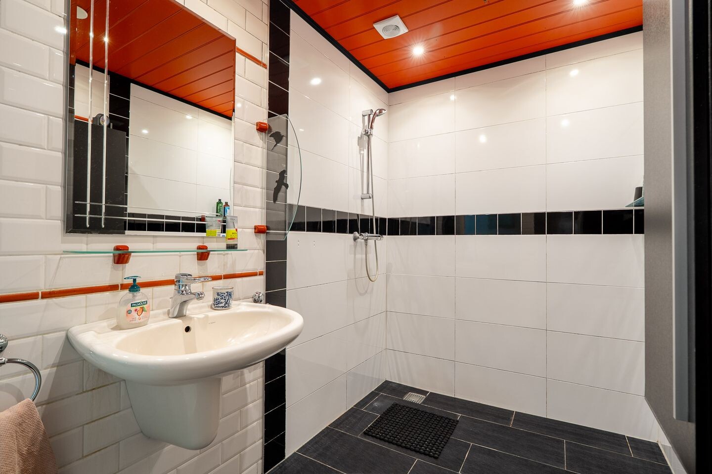 Vrijstaande woning te koop: Nieuwe Holtenweg 2, Vries