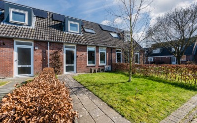 Boerhoorn 9