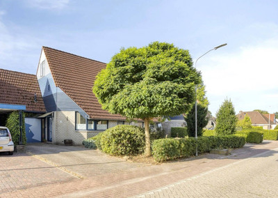 De Baander 39