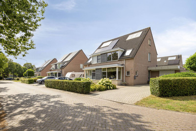 Vuistbijl 2