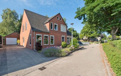 Veenbes 41